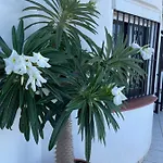 Ladera Panorama - Private Heated Pool Nerja
