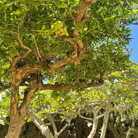 Villa Ladera Panorama - Private Heated Pool