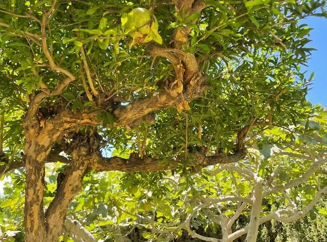 Вилла Ladera Panorama - Private Heated Pool