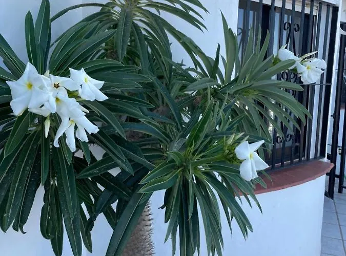 Ladera Panorama - Private Heated Pool Nerja
